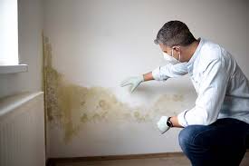 Best Comprehensive Air Testing for Mold Contaminants  in Midway, KY